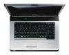  Toshiba SATELLITE L300-11Q